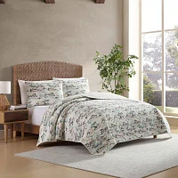 Eddie Bauer Quilt Set