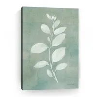 Sage Leaves II Giclee Canvas Art