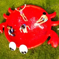 Big Mouth Crab Splash Pad