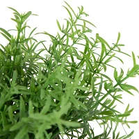 Northlight Green Leafy Foliage In Pot Artificial Plant