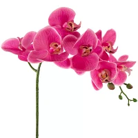 Northlight Orchids In A Ceramic Pot Artificial Plant