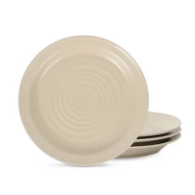 Stone + Lain Orbit 4-pc. Stoneware Salad Plate