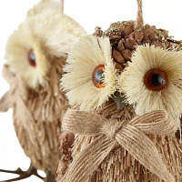 North Pole Trading Co. Sisal Owl 2-pc. Christmas Ornament