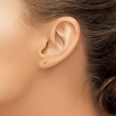 14K Gold 5mm Star Stud Earrings