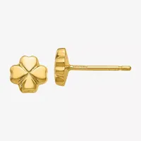 14K Gold 6mm Stud Earrings