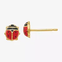 14K Gold 6mm Stud Earrings