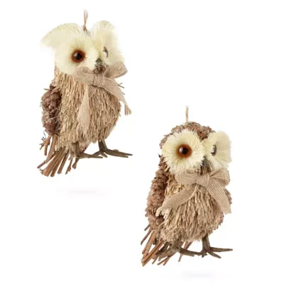 North Pole Trading Co. Sisal Owl 2-pc. Christmas Ornament