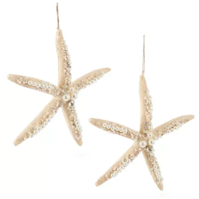 North Pole Trading Co. Resin Sea Star 2-pc. Christmas Ornament