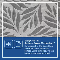 Sealy® Posturepedic Plus Porteer Soft Mattress Only