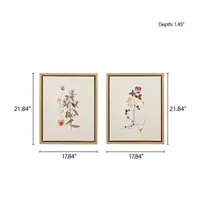 Martha Stewart French Herbarium 2-pc. Wall Art Sets