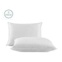 Live Comfortably Never Flat 2 Pack Pillow