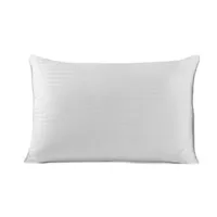 Live Comfortably Never Flat 2 Pack Pillow