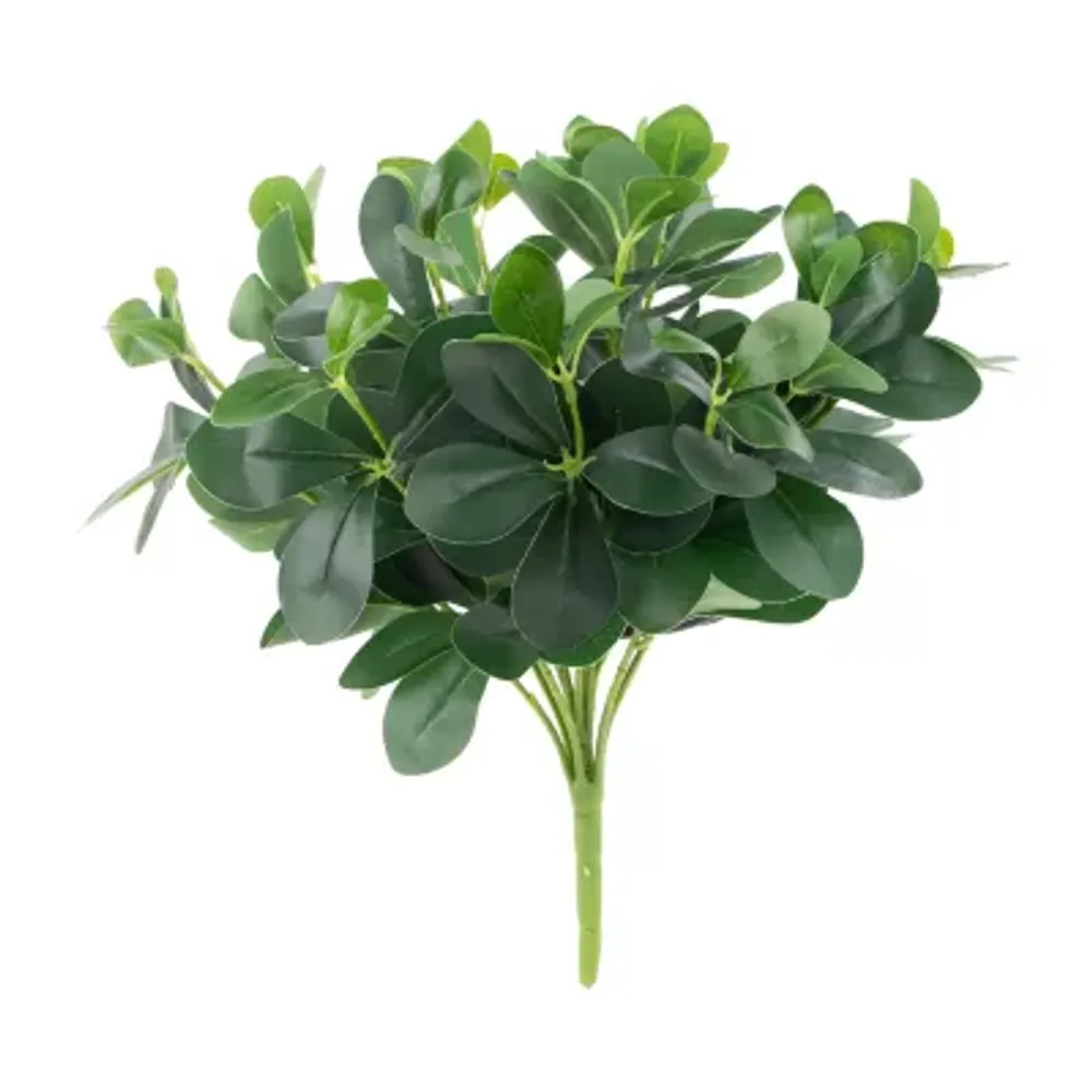 18'' Decorative Artificial Green Two Tone Polyscias Floral Bush