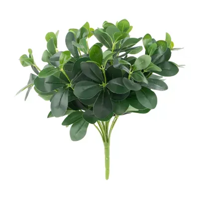 18'' Decorative Artificial Green Two Tone Polyscias Floral Bush