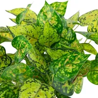 19.5'' Decorative Artificial Green and Yellow Dieffenbachia Floral Bush