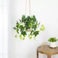 23.75'' Decorative Garden-Style Green Ivy Spring Floral Hanging Bush