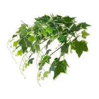 23.75'' Decorative Green and White Ivy Spring Floral Hanging Bush