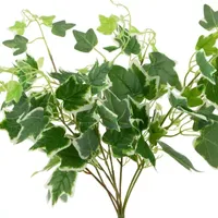 23.75'' Decorative Green and White Ivy Spring Floral Hanging Bush