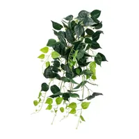 34.75'' Green Artificial Spring Pothos Plant Bush