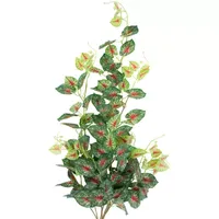 39.5'' Green and Red Artificial Caladium Floral Hanging Bush