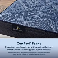 Serta Perfect Sleeper Cobalt Calm 12" Extra Firm - Mattress Only