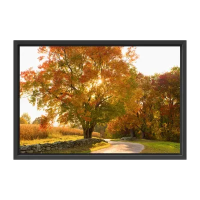 Lumaprints Maple Tree Drive Canvas Art