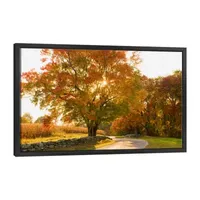 Lumaprints Maple Tree Drive Canvas Art