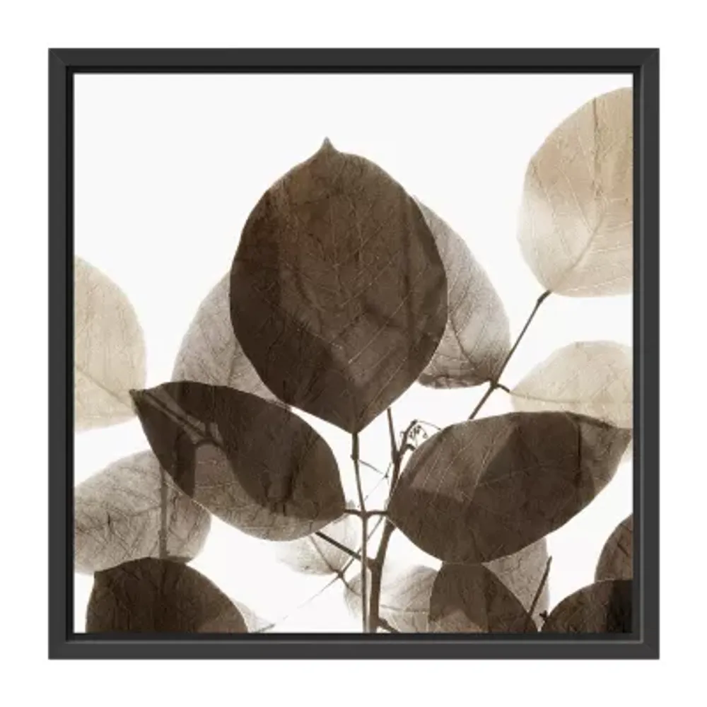 Lumaprints Chocolate Leaves 1 Framed Canvas Art