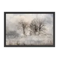 Lumaprints Winter Frost 3 Framed Canvas Art