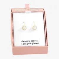 Sparkle Allure Crystal 14K Gold Over Brass Round Drop Earrings