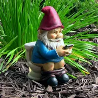 Net Health Shops Cody The Statue Gnome