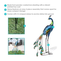 Net Health Shops Outdoor Peacock Statue 2-pc. Metal Yard Art