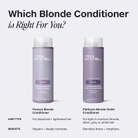 Paul Mitchell Platinum Blonde Violet Conditioner 10.1 oz.