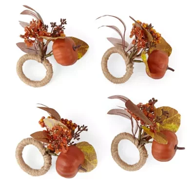 Linden Street Woodland Spice Pumpkin 4-pc. Napkin Rings