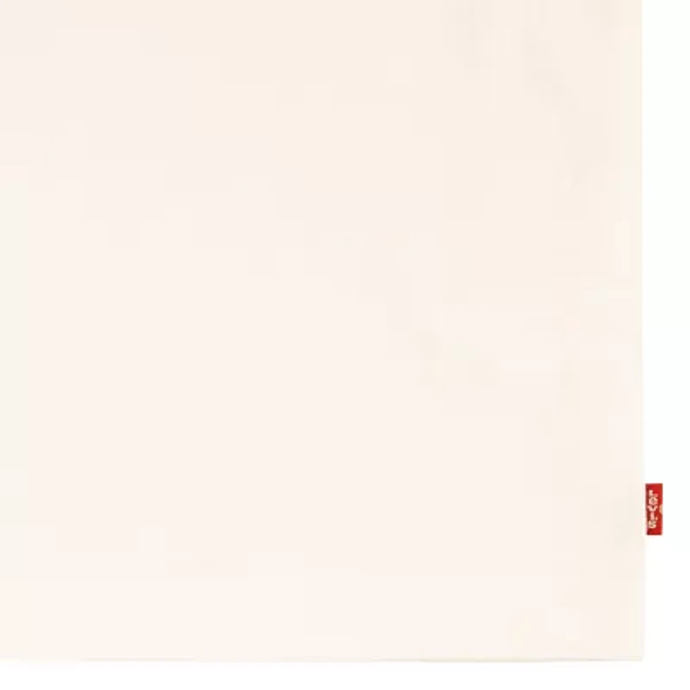 Levi's Big Boys Crew Neck Short Sleeve Graphic T-Shirt