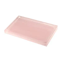 IZOD Marina Pink Vanity Tray