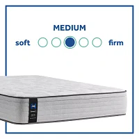 Sealy® Diggens Medium Euro Top - Mattress + Box Spring