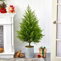 Nearly Natural Norfolk Island Pine 4 Foot Potted Pine Christmas Tree