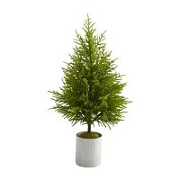 Nearly Natural Norfolk Island Pine 4 Foot Potted Pine Christmas Tree