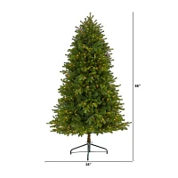 Nearly Natural Washington Fir 5 1/2 Foot Pre-Lit Fir Christmas Tree