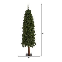 Nearly Natural Natural Trunk 5 Foot Pine Christmas Tree