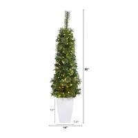 Nearly Natural 50" Green Pencil 4 Foot Pre-Lit Potted Multi-Function Lights Pine Christmas Tree