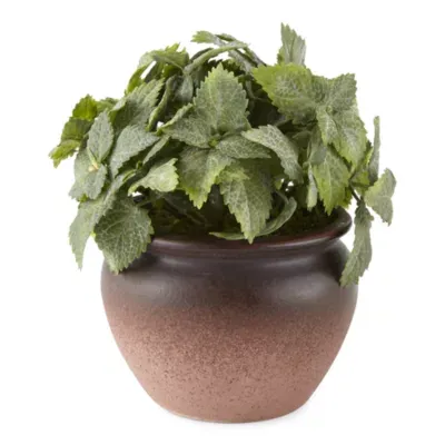 Linden Street 6.5" Greenery Peppermint Artificial Plant