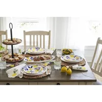 Homewear Water Hyacinth 4-pc. Placemats