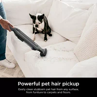 Shark Pet Cordless Stick Vacuum