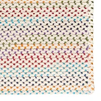 Capel Inc. Vivid Multi Braided Reversible Indoor Rectangular Accent Rug