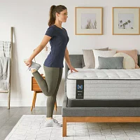 Sealy® Forsythia Soft Euro Top - Mattress Only