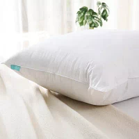 Waverly Feather And Down Blend Pillow Set Of 2