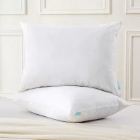 Waverly Feather And Down Blend Pillow Set Of 2