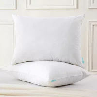 Waverly Feather And Down Blend Pillow Set Of 2